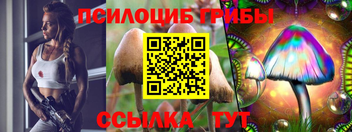 Галлюциногенные грибы Psilocybe Сарапул