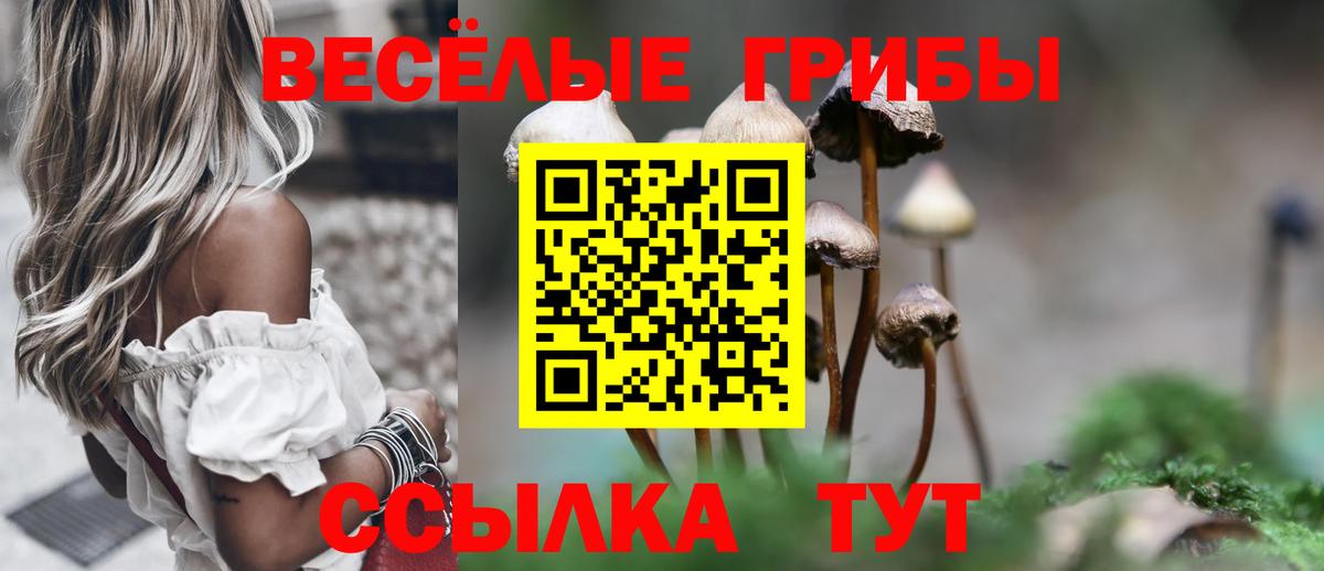 Сарапул  Псилоцибиновые грибы ЛСД  Вход с VPN 